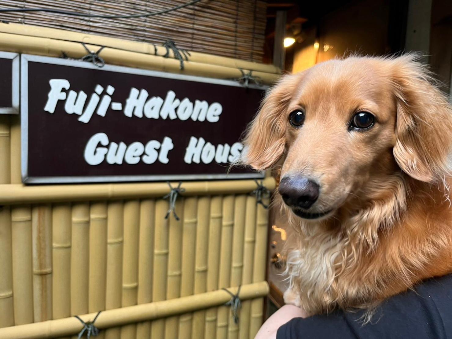 Fuji-Hakone Guest House Esterno foto